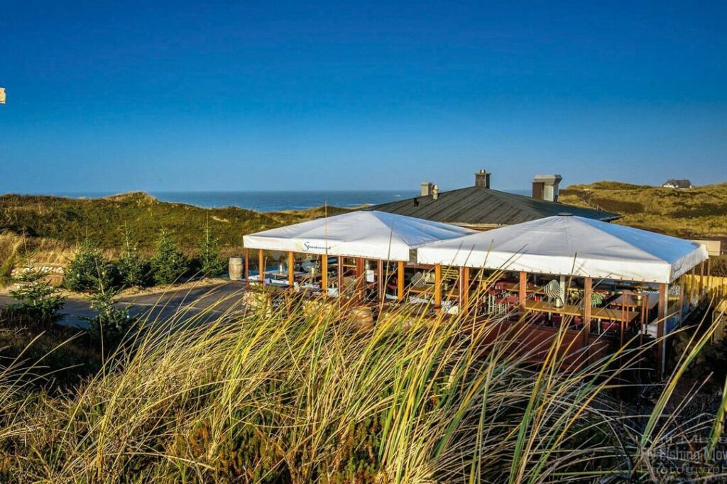 Ein malerisches Strandcafé mit weißen Zelten als Sonnenschutz über dem Sitzbereich im Freien ist von hohem Gras und Sanddünen umgeben. Im Hintergrund sind der klare blaue Himmel und das ferne Meer zu sehen, was eine ruhige und malerische Küstenlandschaft schafft.