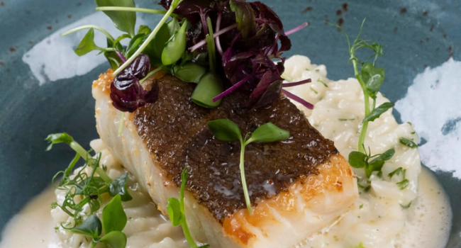 Ein wunderschön angerichtetes Gericht mit einem angebratenen Stück Fisch mit knuspriger Haut, das auf einem Bett aus cremigem Risotto ruht. Das Gericht ist mit frischen Microgreens und einem Schuss Soße garniert und wird auf einem rustikalen, blauen Hoog-Keramikteller serviert.